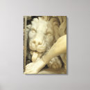 Recherche de daniel impressions sur toile Lion