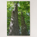 Recherche de tirs puzzles Pour tous