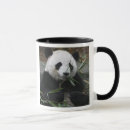 Recherche de ours panda géant tasses Animal