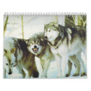 Recherche de loup calendriers Animaux
