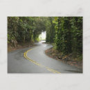 Recherche de île tropicale cartes postales Arbre