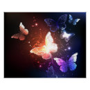 Recherche de lucioles posters Brille