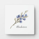 Recherche de botanique plaques Nature