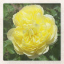 Recherche de roses anglais dessous de verres Fleurs