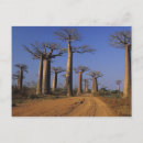 Recherche de madagascar cartes postales Paysage