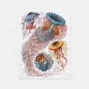 Recherche de méduses Haeckel