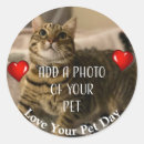 Recherche de fourrure animale autocollants Chat