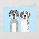 Recherche de grand chien cartes postales Animaux