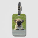 Recherche de pique nique bagages étiquettes Mignon