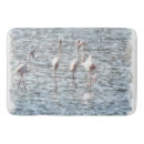 Zoek naar dierentuin badmatten Flamingo