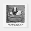 Recherche de seau magnets Drôle