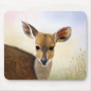 Recherche de antilopes tapis souris Animal