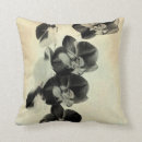 Recherche de orchidée coussins Botanique