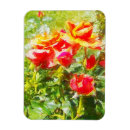 Recherche de rose et orange magnets Jaune