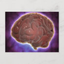 Recherche de cerveau cartes postales Neurologie