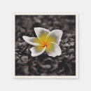 Recherche de hawaii serviettes Plumeria
