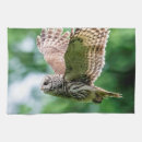 Recherche de rapace cuisine linges Nature
