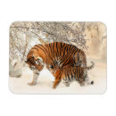 Recherche de tigre vœux cartes Hiver