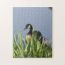 Recherche de oies puzzles Peinture