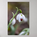 Recherche de flower art Jardin fleuri