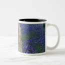 Recherche de marble tasses Fleur