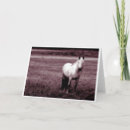 Recherche de corse vœux cartes Horse