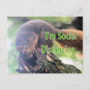 Recherche de je ne suis pas antisocial cartes postales Humour