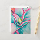 Recherche de agave cartes postales Botanique