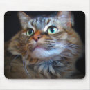 Recherche de hymnes de louange Chats