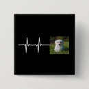 Recherche de animaux de photo badges Chien