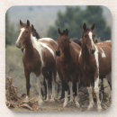 Recherche de mustang dessous de verres Équestre