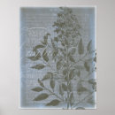 Zoek naar silhouet posters Bloemkolen