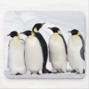 Zoek naar penguin muismatten Dier