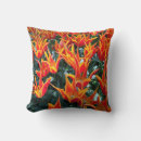 Zoek naar keukenhof Tulpen