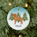 Recherche de hongrois ornements Chien de chasse