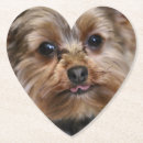 Zoek naar speelgoed honden onderzetters Yorkie