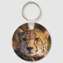 Zoek naar cheetah sleutelhangers Wild
