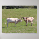 Zoek naar texas longhorn kunst Stier