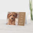 Zoek naar ernstig kaarten Fotografie