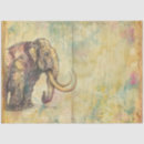 Recherche de mamouth Dessin