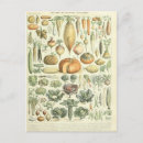 Zoek naar illustraties briefkaarten Tekening