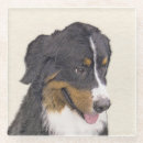 Recherche de berne dessous de verres Chien de montagne bernois