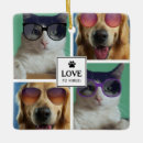 Recherche de animaux ornements Famille