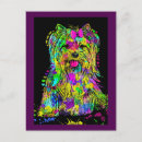 Recherche de yorkshire terrier chien cartes postales Animaux