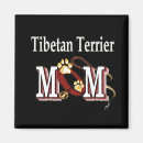 Recherche de tibétain magnets Dog