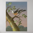 Zoek naar doven kunst Vogel
