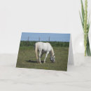 Zoek naar mooi paard kaarten Boerderij