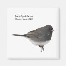 Recherche de moineau magnets Faune