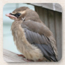 Recherche de oiseau de bébé bar Pour elle