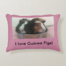Zoek naar cavia kussens Varken